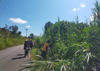 Jalan Lintas Senara Makin Aman Polsek Jongkong Gagas Gotong Royong Bersih-Bersih Semak Rawan Kecelakaan